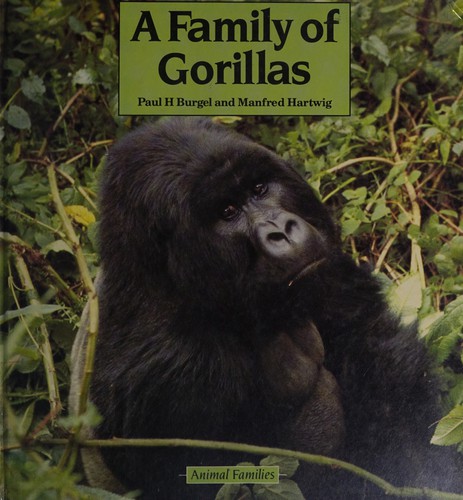 A family of gorillas