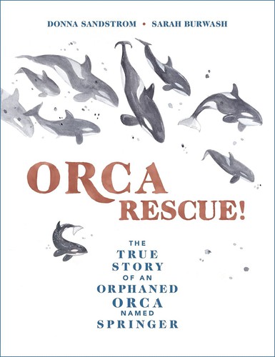 Orca Rescue!