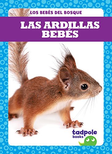 Las ardillas bebés