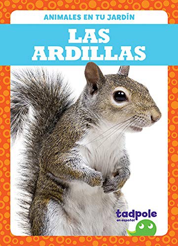 Las ardillas