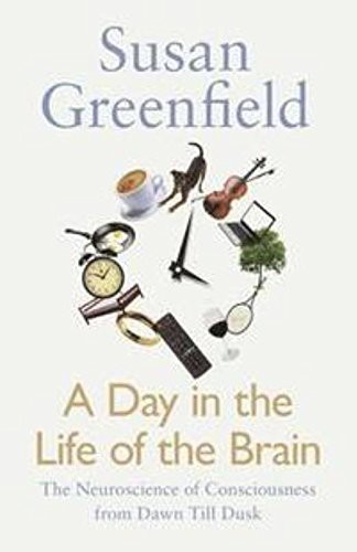 Day in the Life of the Brain