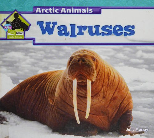Walruses
