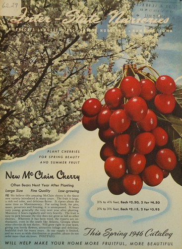 This spring 1946 catalog will help make your home more fruitful, more beautiful