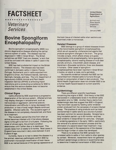 Bovine spongiform encephalopathy