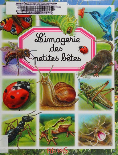 L'imagerie des petites bêtes