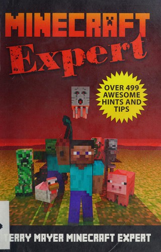 Minecraft expert