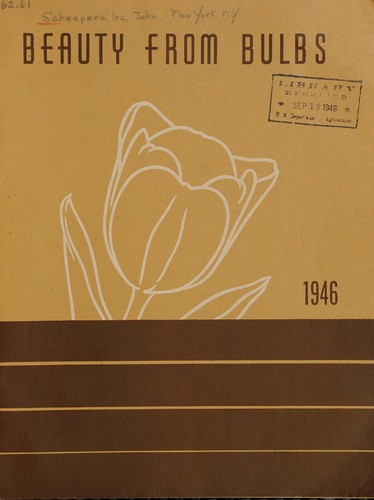 Beauty from bulbs, fall 1946