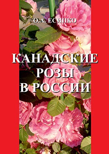 Canadian roses in Russia