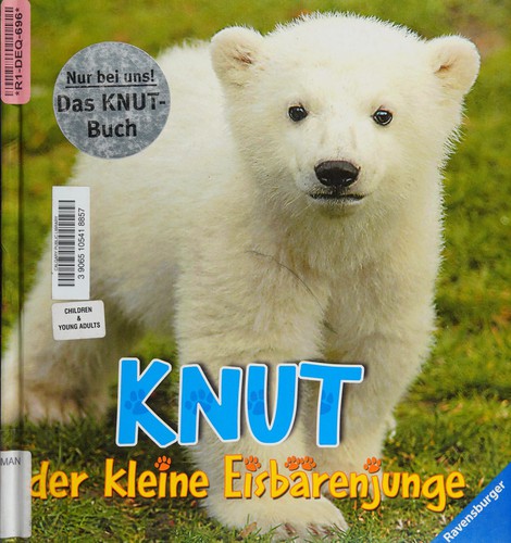 Knut, der kleine Eisbärenjunge