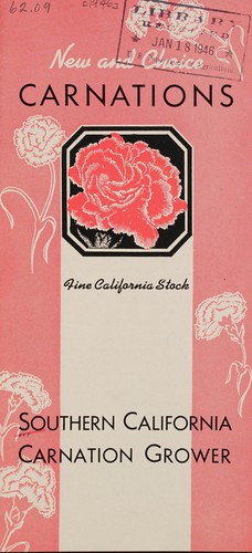 New and choice carnations