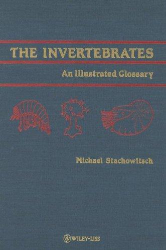 The invertebrates