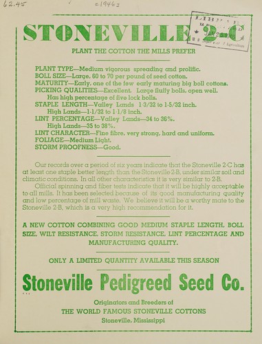 Stoneville 2-C