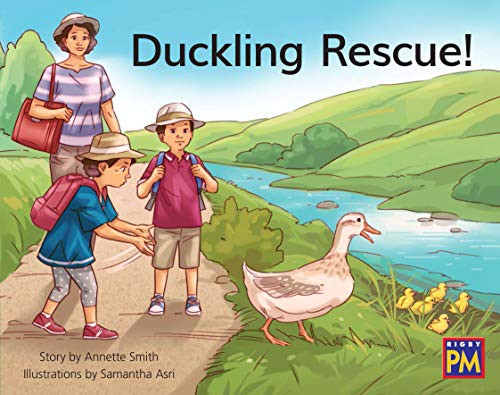 Duckling Rescue