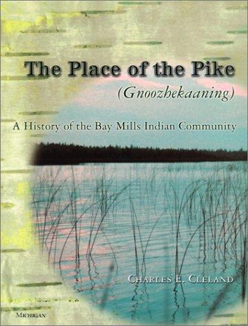 The Place of the Pike (Gnoozhekaaning)