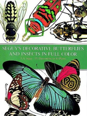 Decorative butterflies and insects in full color