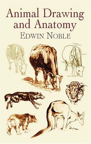 Animal drawing and anatomy