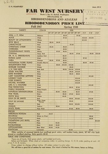 Rhododendron price list