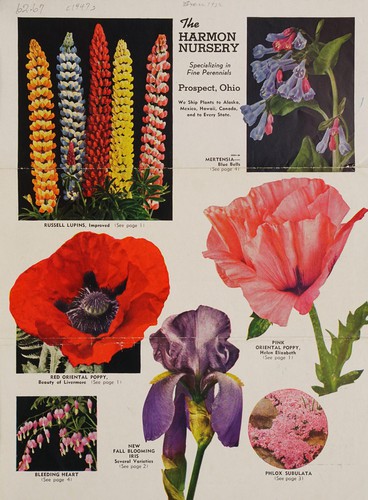 Harmon's Nursery, specializing in fine perennials