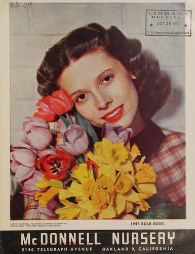 1947 bulb book