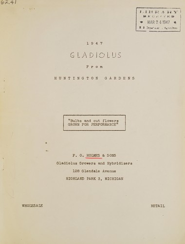 1947 Gladiolus