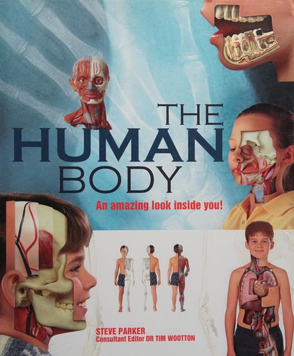 The human body