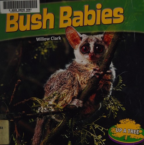 Bush babies