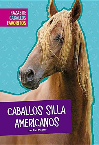 Caballos Silla Americanos