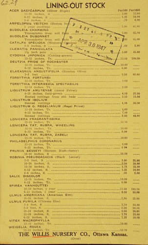 Lining-out stock