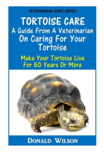 Tortoise Care