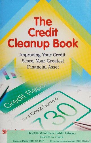 The credit cleanup book