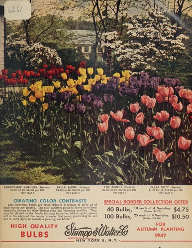 High quality bulbs for autumn planting 1947