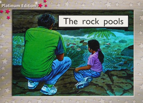 The rock pools