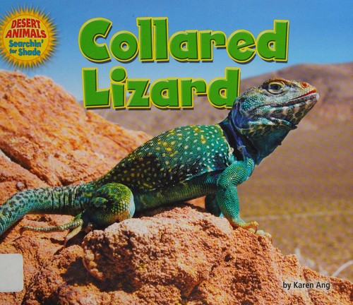 Collared Lizard