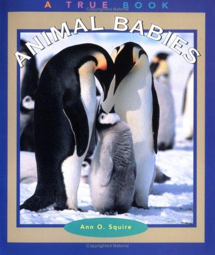 Animal Babies