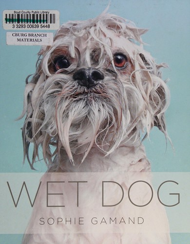 Wet Dog