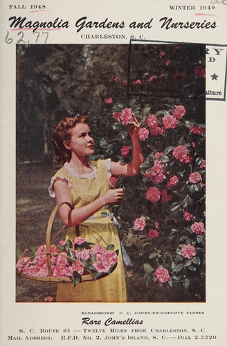 Rare camellias, fall 1948 - winter 1949