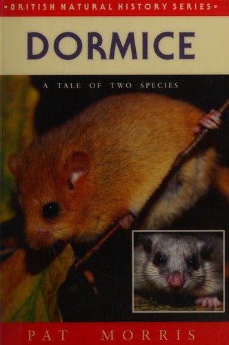 Dormice