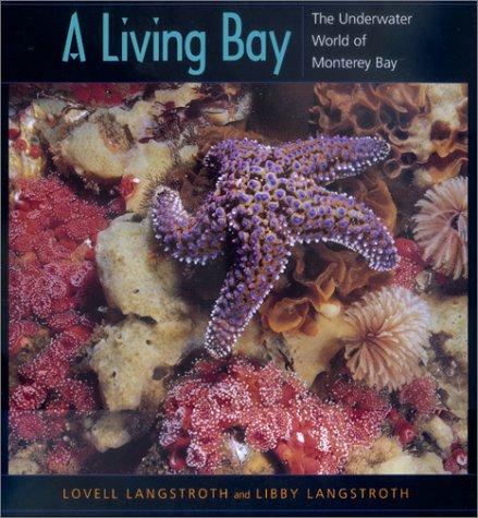 A living bay