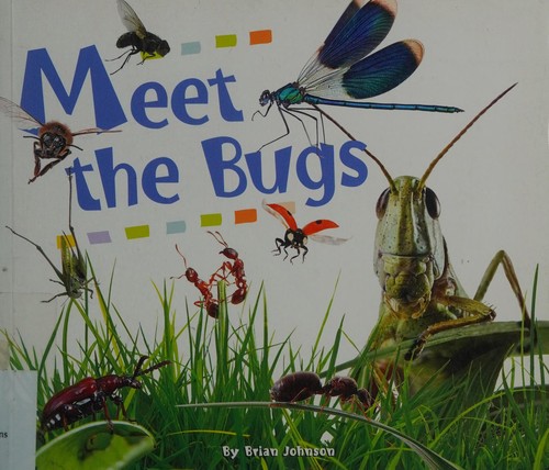 Meet the bugs