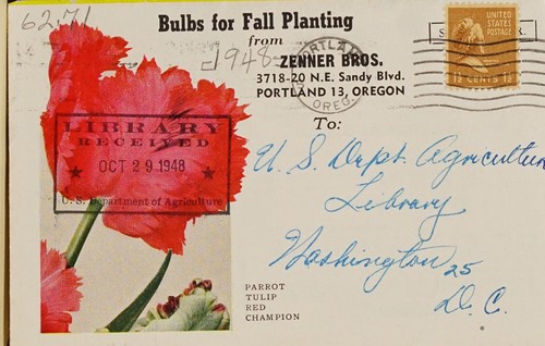 Bulbs for fall planting