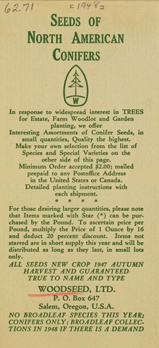 Grow evergreen trees