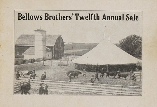 Twelfth annual sale catalogue Bellows short-horns