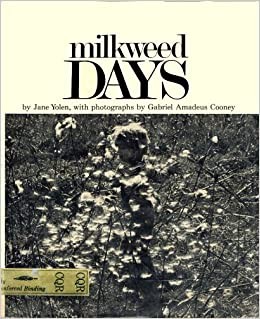 Milkweed days