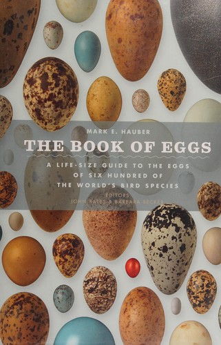 The book of eggs