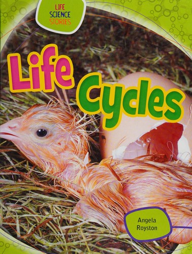 Life Cycles