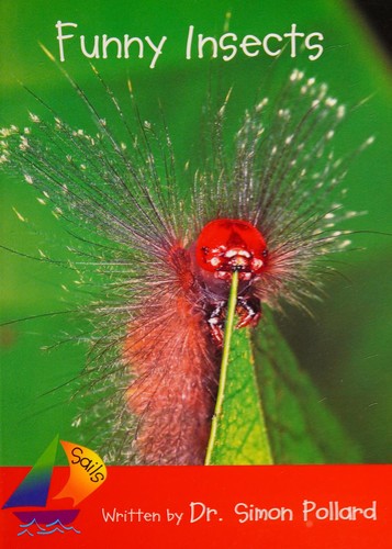 Funny insects