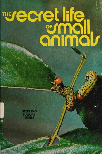 The secret life of small animals