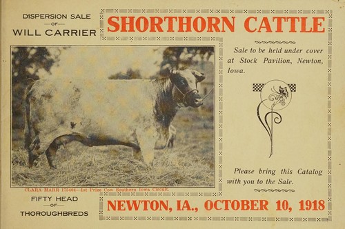 Dispersion sale of short horn cattle