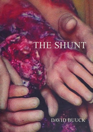 The shunt