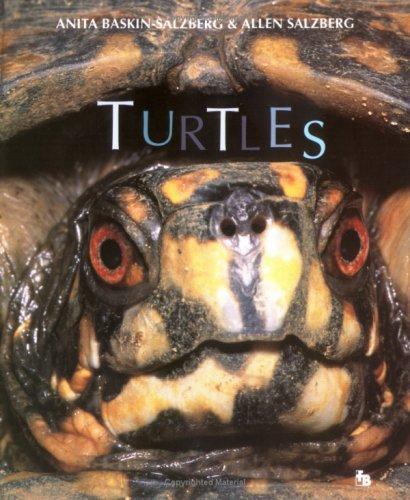 Turtles